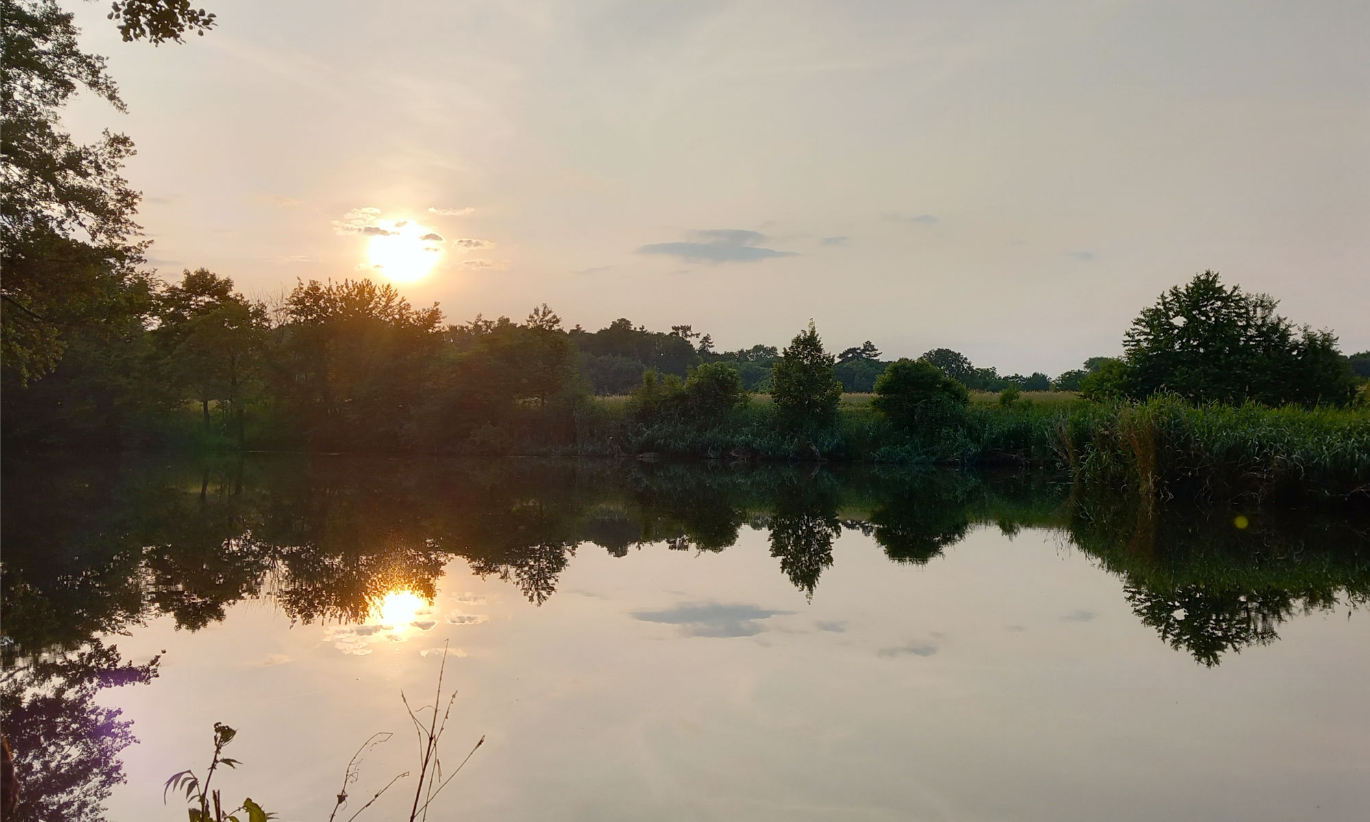 Vereins-See Anglergemeinschaft Sennfeld
