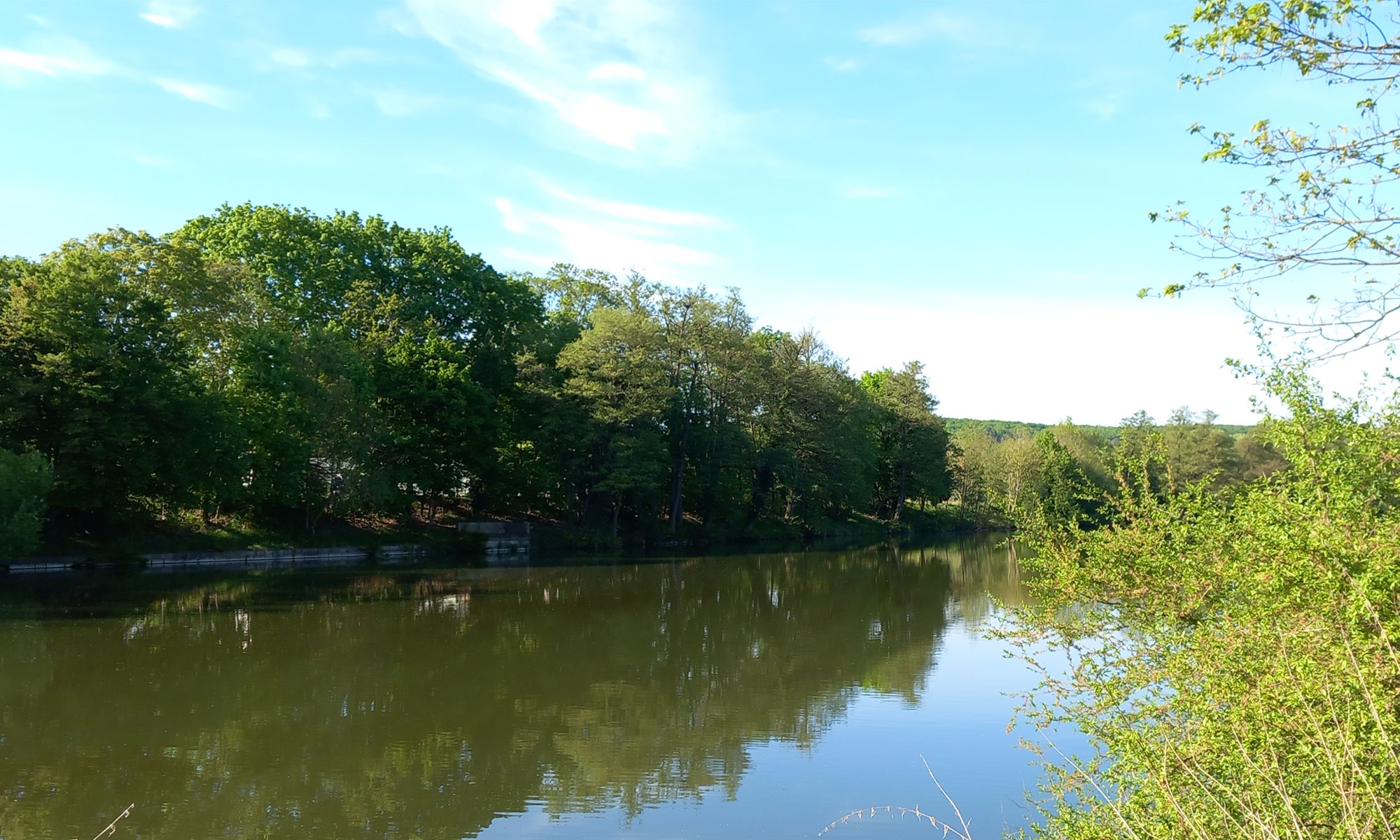Anglergemeinschaft Sennfeld Vereinssee