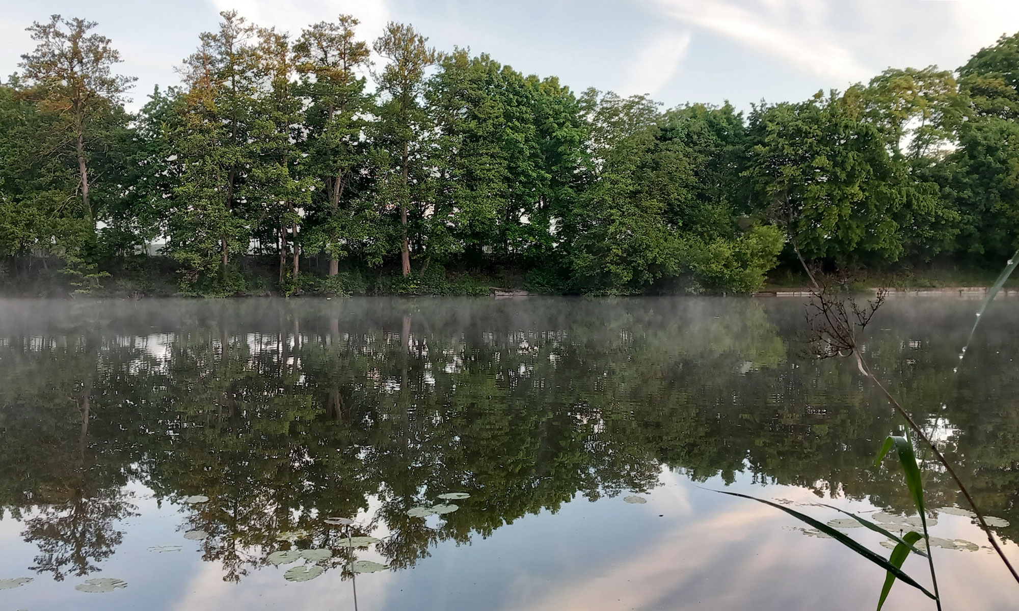 Vereins-See der Anglergemeinschaft Sennfeld